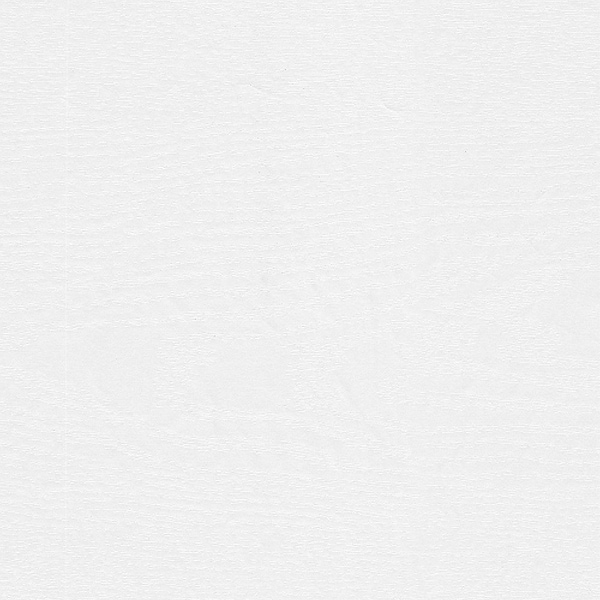 Versatile 78W Queen Murphy Bed and a Sofa, White